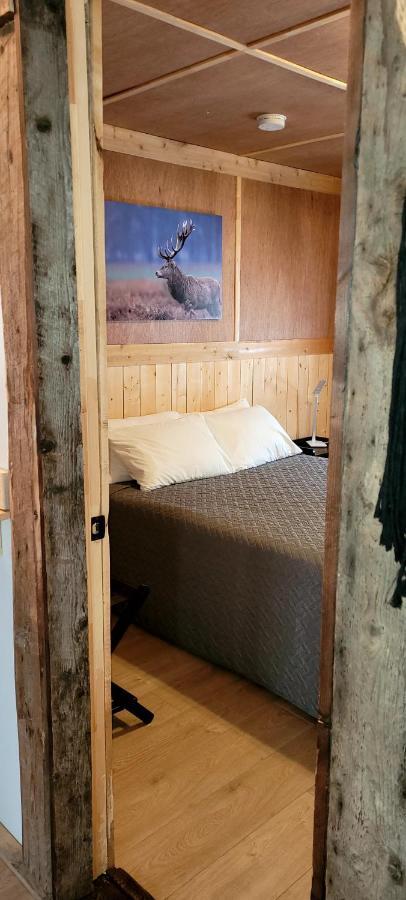 Cap-des-Rosiers Motel Du Haut Phare מראה חיצוני תמונה