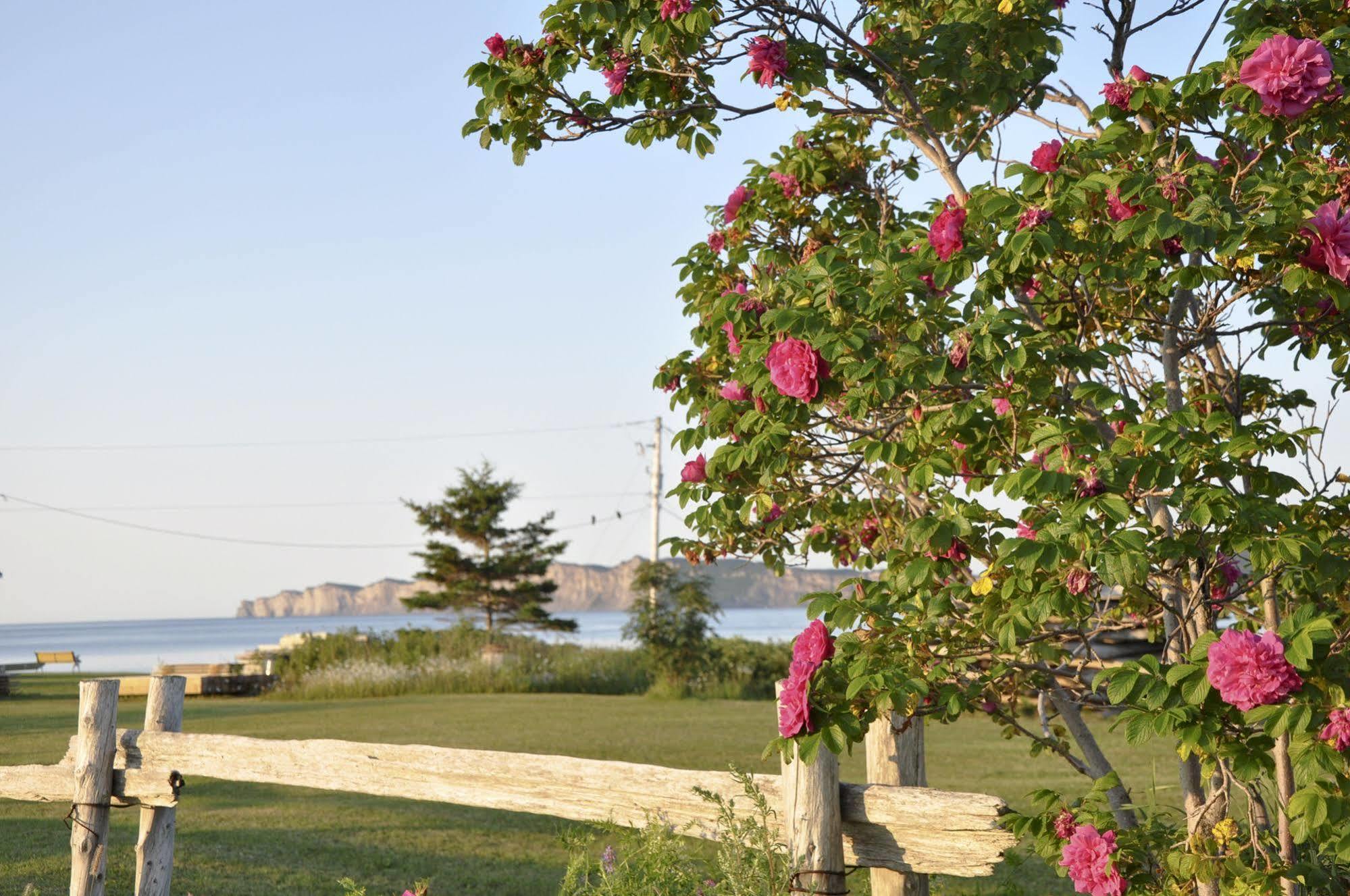 Cap-des-Rosiers Motel Du Haut Phare מראה חיצוני תמונה